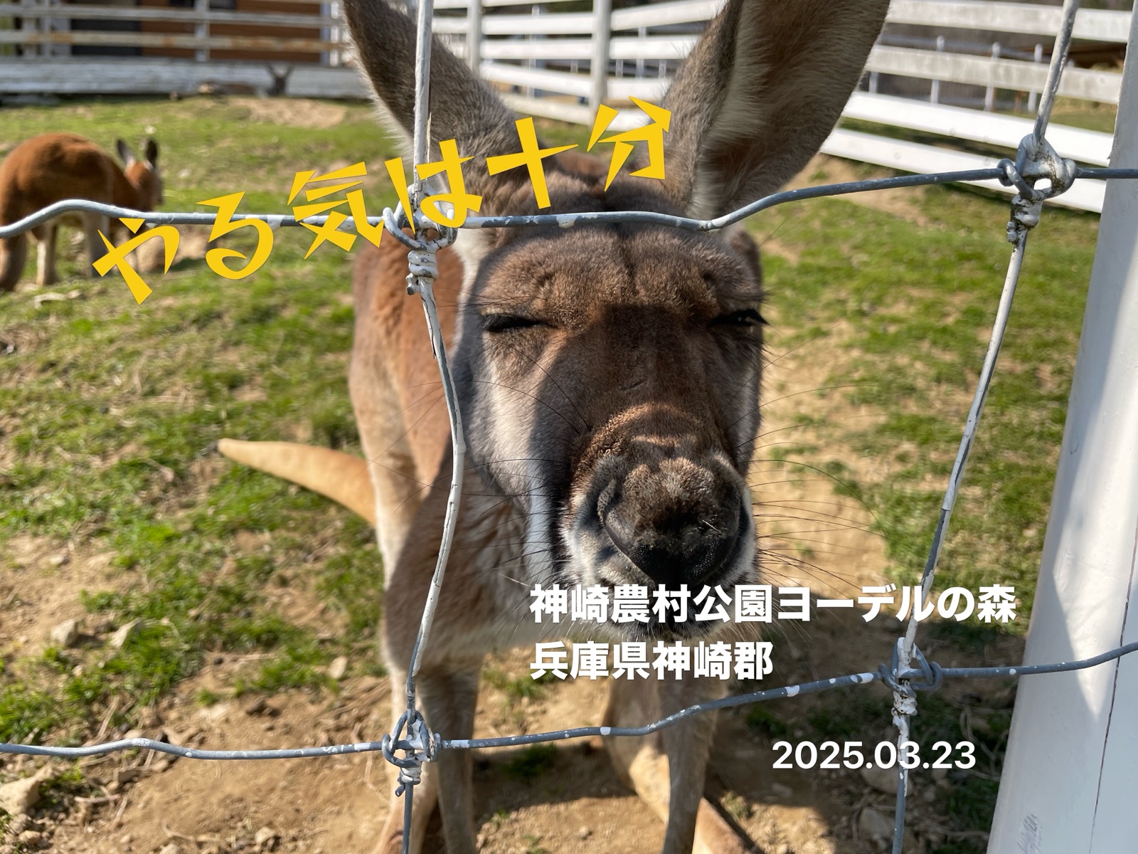 飲食店・小売の写真に、店名と撮影場所を自動スタンプした例(2)