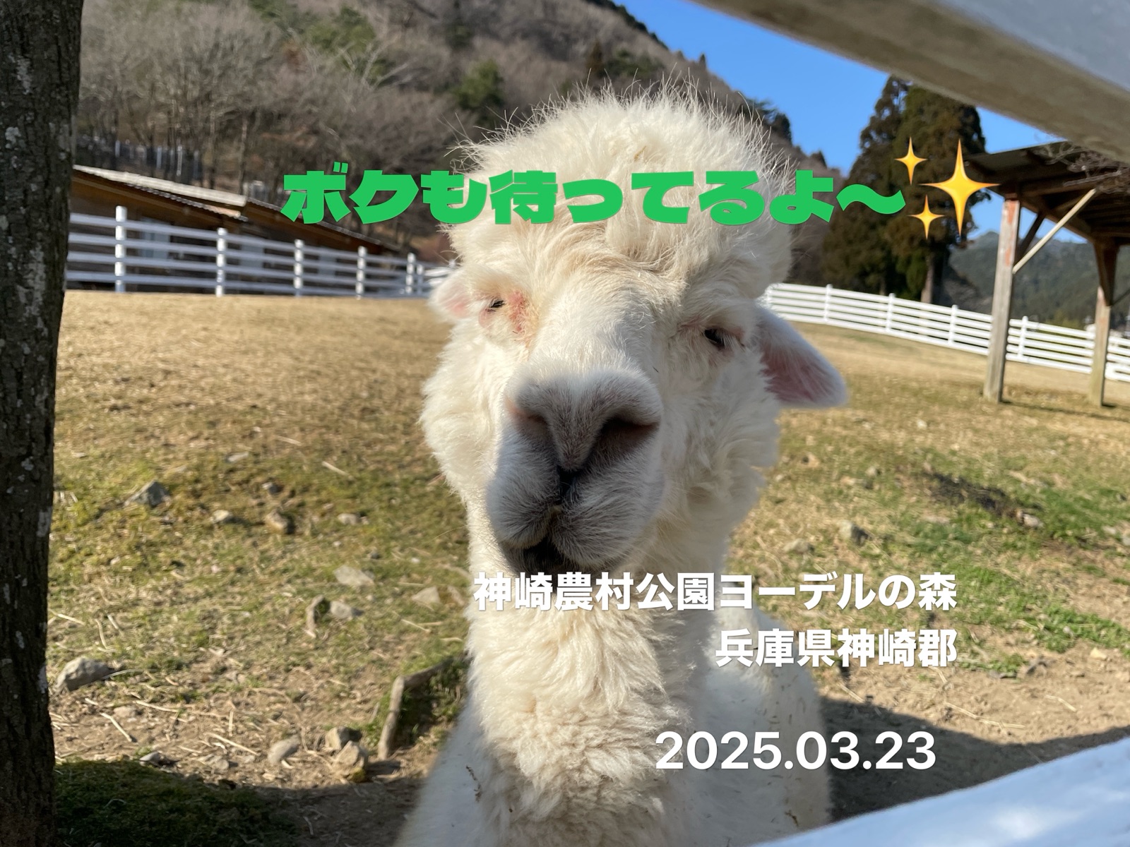 飲食店・小売の写真に、店名と撮影場所を自動スタンプした例(6)